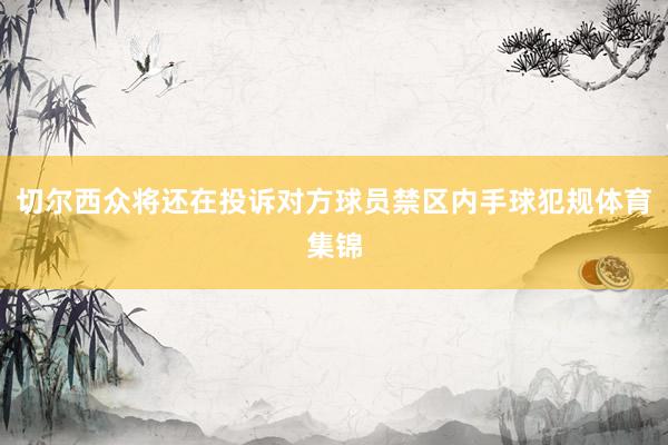 切尔西众将还在投诉对方球员禁区内手球犯规体育集锦