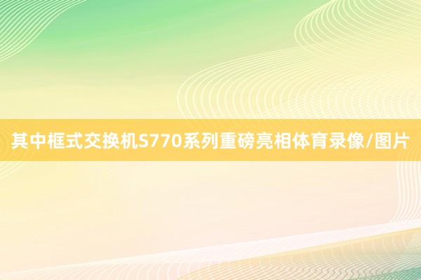 其中框式交换机S770系列重磅亮相体育录像/图片