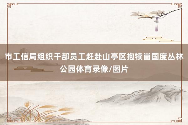 市工信局组织干部员工赶赴山亭区抱犊崮国度丛林公园体育录像/图片