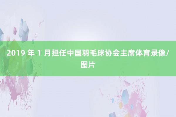 2019 年 1 月担任中国羽毛球协会主席体育录像/图片