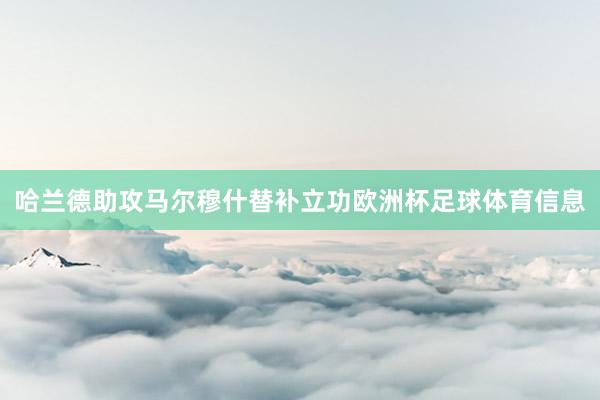 哈兰德助攻马尔穆什替补立功欧洲杯足球体育信息