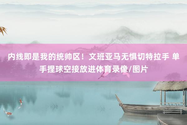 内线即是我的统帅区！文班亚马无惧切特拉手 单手捏球空接放进体育录像/图片