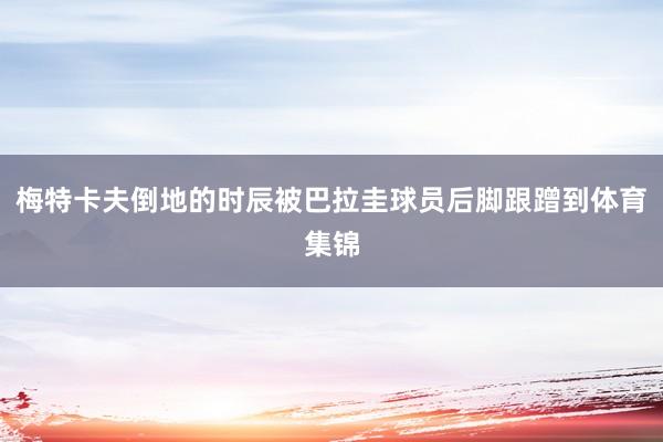 梅特卡夫倒地的时辰被巴拉圭球员后脚跟蹭到体育集锦